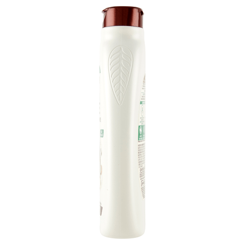 Garnier Balsamo GARNIER Shampoo Nutriente Latte di cocco e macadamia Kokosmilch-Shampoo 300ml 3600542154628