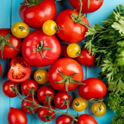 Tomaten - Italian Gourmet