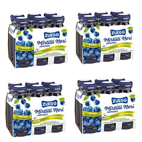 ZUEGG Blaubeeresaft Packung von 24 Flaschen von 125 ml