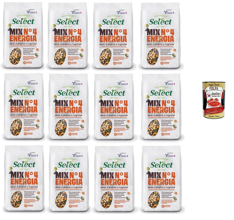 Select MIX N.4 ENERGIA Quelle für Phosphor und Magnesium 12x 300gr + Italian Gourmet polpa 400g