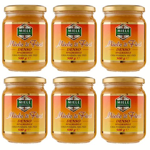 Ambrosoli Miele di Fiori Denso Spalmabile Streichfähig Dichter Blütenhonig Honig 500 g Glas italienisch Original