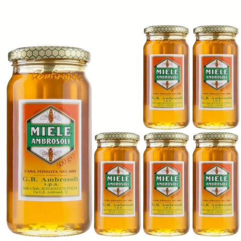 Ambrosoli Honig Ambrosoli Miele Millefiori 6 Confezioni da 500 Grammi Original italienisch 8054134292093