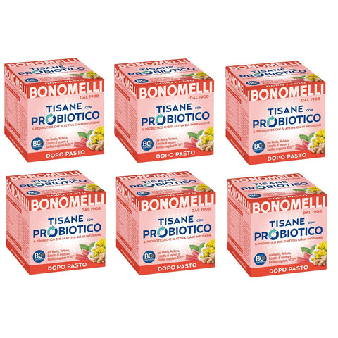 Bonomelli Tisane con Probiotico Dopo Pasto Kräutertees mit Probiotika mit Minz Eisenkraut und Ingwerextrakt ideal nach den 6x italienisch Original