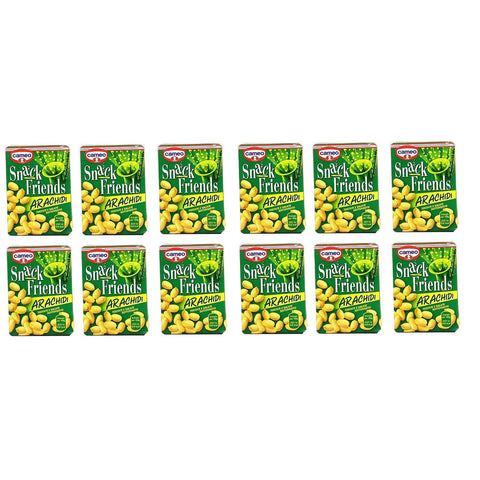 Cameo Snack Friends Arachidi Tostate e Salate Peanuts Geröstete und Gesalzene Erdnüsse Vakuumverpackung 40g 12x Original italienisch