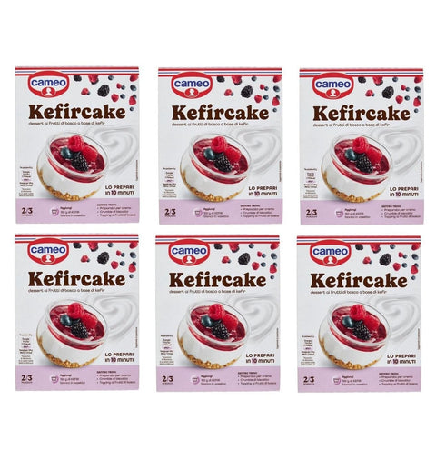 Cameo Kuchen Cameo Kefircake Beerendessert auf Kefirbasis 6x100g
