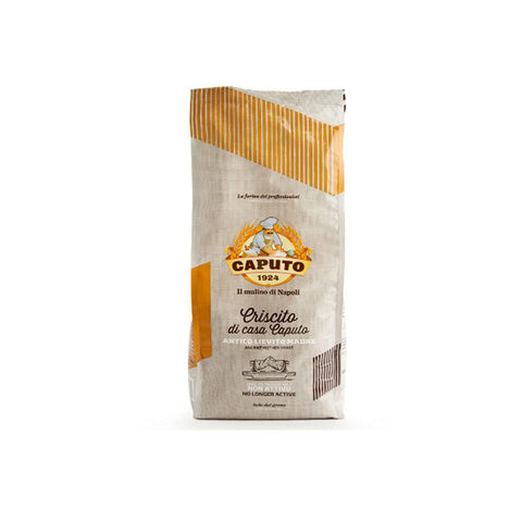 Caputo Criscito Lievito Madre Essiccato Getrocknete Mutterhefe Inaktive Natürliche Hefe 1x1kg Original italienisch Zutat