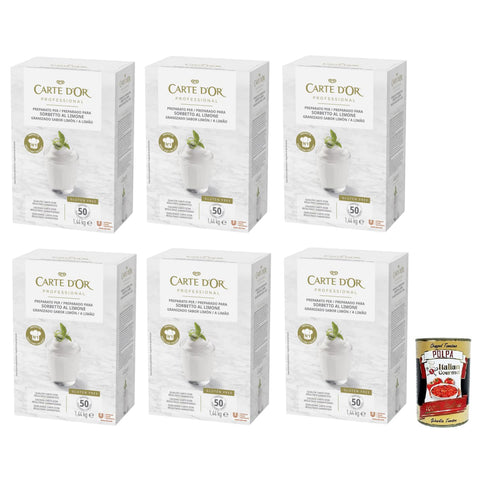 Carte d'Or Carte d’Or Professional Preparato per Sorbetto al Limone Pulvermischung für Zitronensorbet 6x 1,44KG italienisch Original