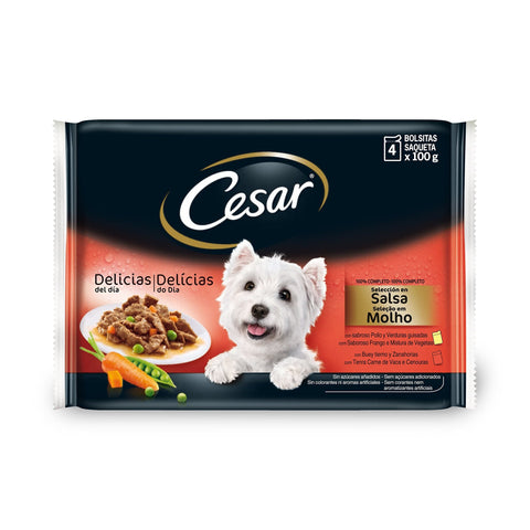 CESAR Nassfutter Cesar – Die Rezepte-Kampagne ,4 x 100 g (13er Packug) 5900951253546