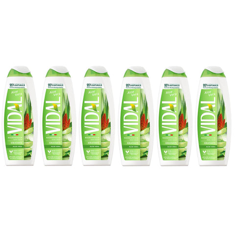 Conter Pack Vidal Körperwaschmittel Bagnodoccia Duschgel,Duschschaum mit Aloe Vera 500 ml italienisch Original