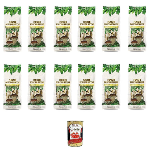 Di Biase Pilze & Trüffel Di Biase Funghi Porcini Secchi Getrocknete Steinpilze Pilze Beutel mit 12x20g 8000411270025