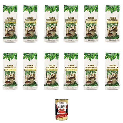 Di Biase Pilze & Trüffel Di Biase Funghi Porcini Secchi Getrocknete Steinpilze Pilze Beutel mit 12x20g italienisch Original 8000411270025