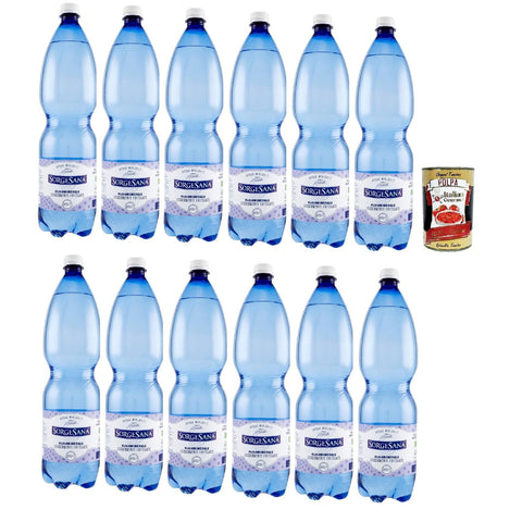 Sorgesana Acqua Minerale Oligominerale Leggermente Frizzante,, Leicht funkelndes Mineralwasser 12x1,5l Original italienisch Getränk