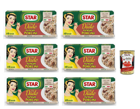 Italian Gourmet E.R. Brühe & Fond 6x Star dado funghi porcini brodo Steinpilze Suppenwürfel Brühe 10 pz + Italian gourmet polpa 400g 8000050008904