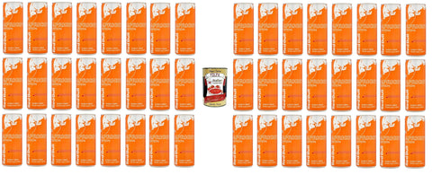 Energy Drink Aprikosen - Erdbeer - Geschmack 48 x 250 ml inkl. Italian Gourmet polpa 400g Original italienisch