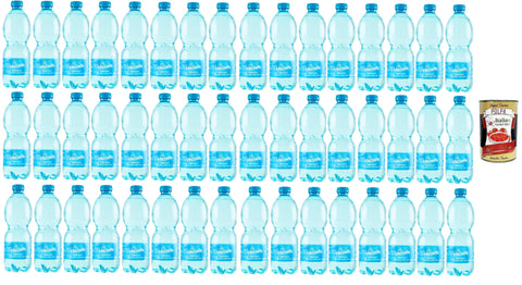 Italian Gourmet E.R. Stilles Wasser Vitasnella Acqua Minerale Naturale Natürliches Mineralwasser 48x 50cl Italienisches Wasser + Italian Gourmet polpa 400g 8032804040014