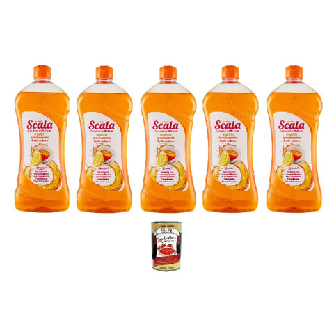 Scala piatti Anti odore agli agrumi Citrus Anti-Geruch Geschirrspülmittel 5x750 ml 750 ml italienisch Original Pastasauce + kostenlos polpa 400 g