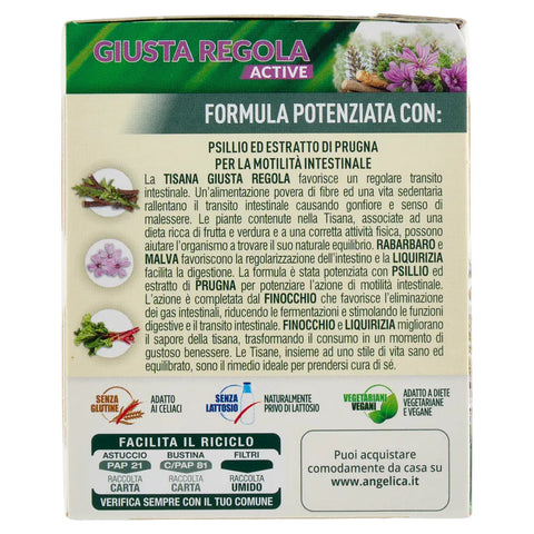 L'angelica Kräutertee 5x L'Angelica Le Tisane Giusta Regola Active Kräutertee mit Flohsamen- und Pflaumenextrakt zur Förderung der Darmtätigkeit 18 Filter 8017331094921
