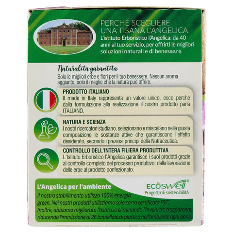 L'angelica Kräutertee 5x L'Angelica Le Tisane Giusta Regola Active Kräutertee mit Flohsamen- und Pflaumenextrakt zur Förderung der Darmtätigkeit 18 Filter 8017331094921
