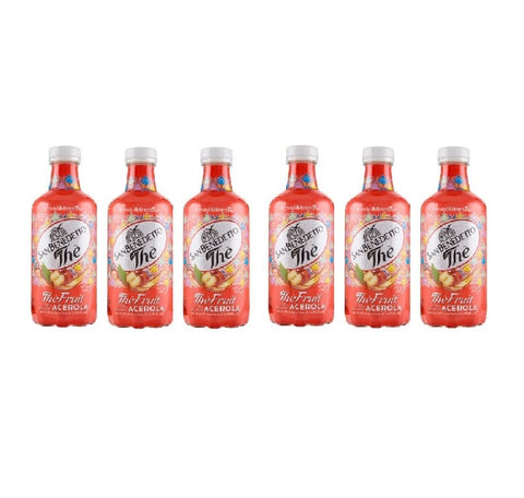 San Benedetto Eistee 6x San Benedetto Thè Fruit Acerola Tee 0,75L PET