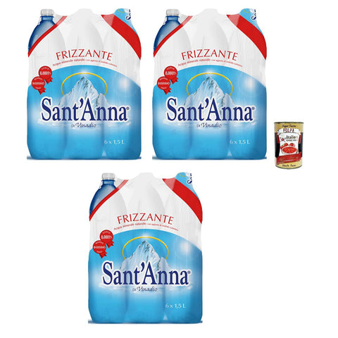 Sant'anna di Vinadio Acqua Frizzante Oligominerale Oligomineral Sprudelwasser Einweg PET Flasche 18x 1,5Lt italienisch Original