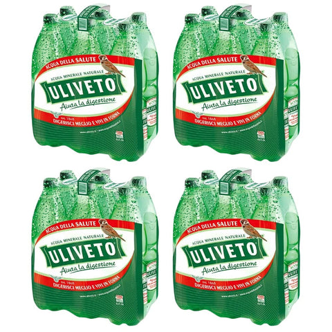 Uliveto Kohlensäurehaltiges Wasser Uliveto Acqua Effervescente 24 Bottiglie da 1.5 Litri 8008490856666