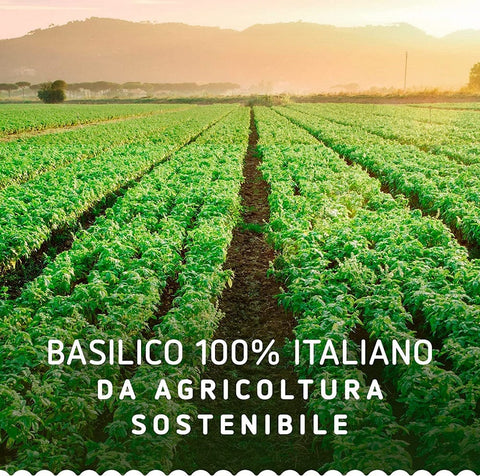 Barilla Kochsaucen & Pesto Barilla Pesto Basilico e Limone Pesto Basilikum und Zitrone 190g